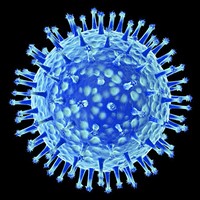 Wirus grypy - wizualizacja (C) Corbis